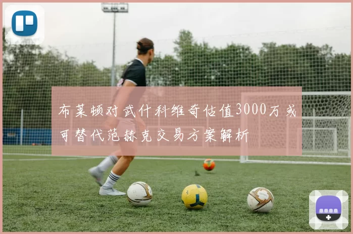 布莱顿对武什科维奇估值3000万或可替代范赫克交易方案解析